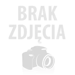 Worki do odkurzacza AGZ60 PC - 4 sztuki