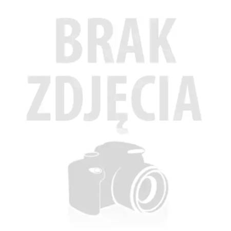 Worki do odkurzacza AGZ60 PC - 4 sztuki